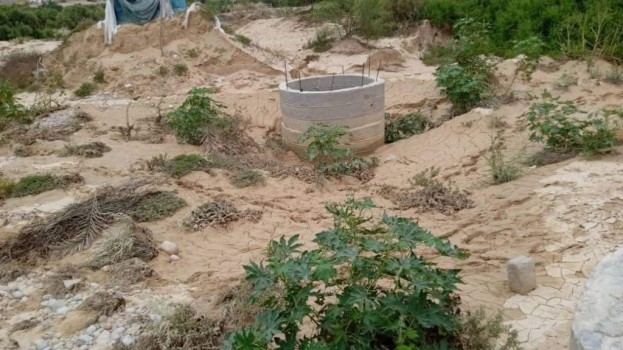 قطاع الزراعة في اتحاد شباب الغد ينفذ نزولاً ميدانياً ويحصر أضرار السيول في مزارع الغيضة