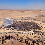 ما علاقة بن حبريش بالحريزي؟ ومن يمولهما؟ وهل مشروعهما واحد؟