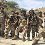 القوات المسلحة الجنوبية تطهر أوكارا إرهابية شرق أبين