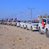 مسيرة جماهيرية حاشدة بالسيارات في الغيضة احتفاءً بالذكرى الـ62 لثورة 14 أكتوبر المجيدة